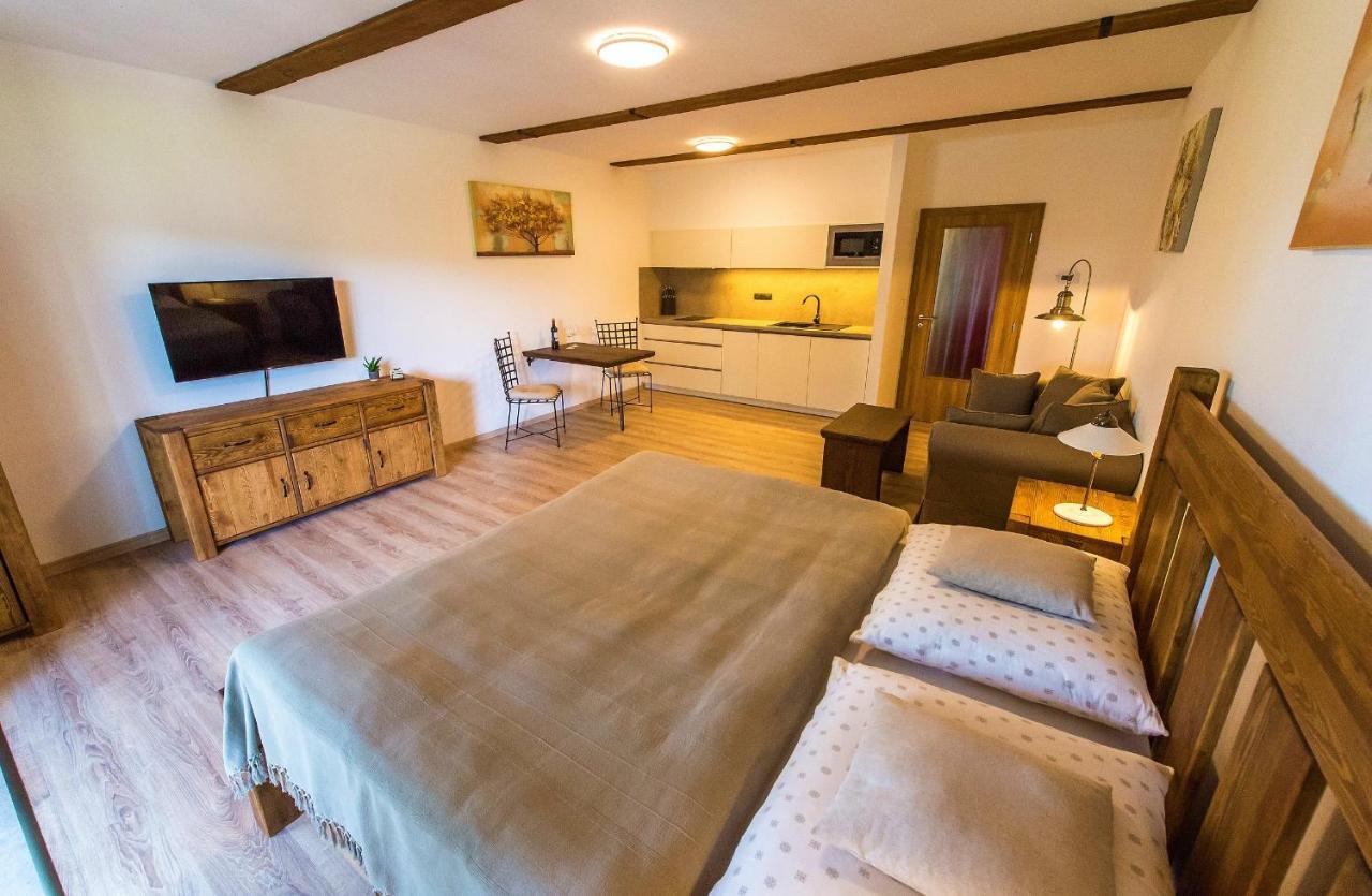 Apartment Marie Lipno nad Vltavou Zewnętrze zdjęcie